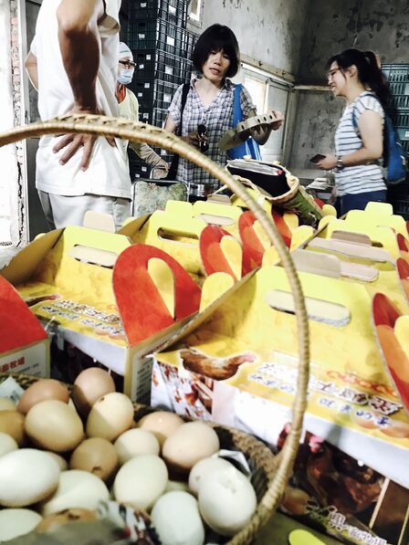 Environment Animal Society Taiwan (10) — sankalpa supported activity