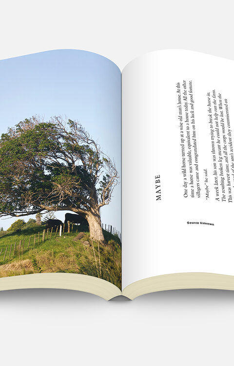 First Face North, book (2) — sankalpa supported activity